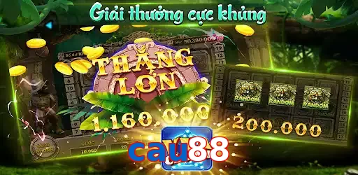 cau88